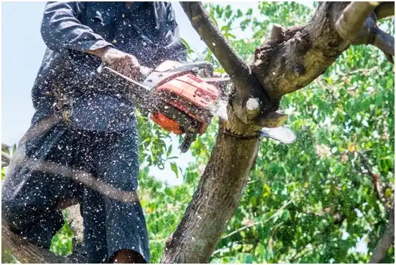 tree services Rowlett